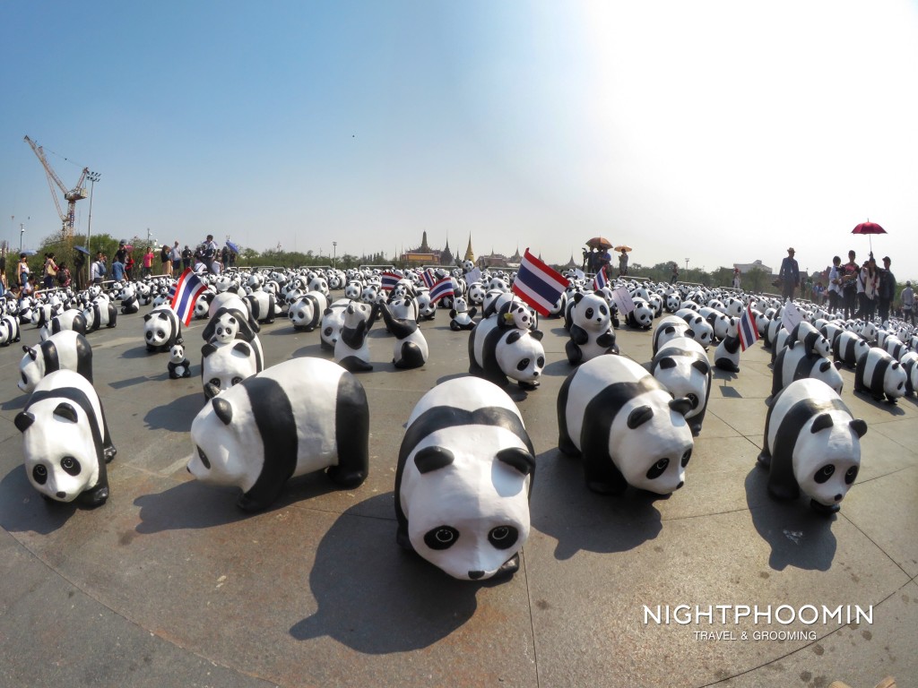 Panda 1600 bangkok-1