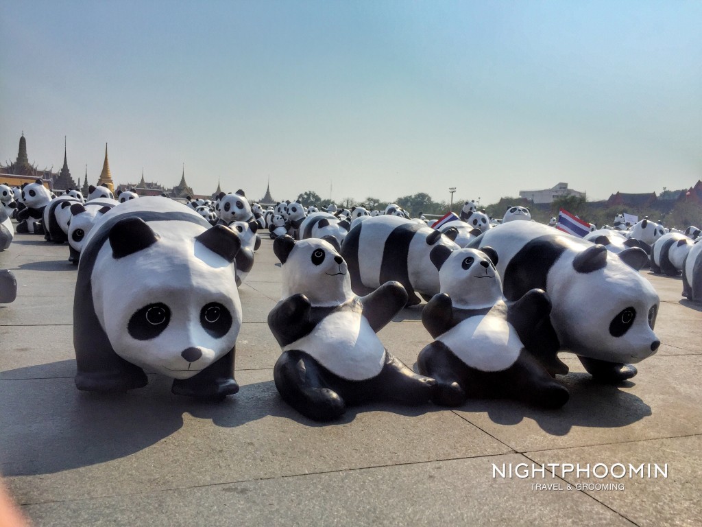 Panda 1600 bangkok-2