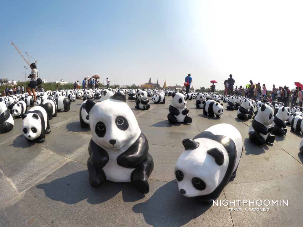 Panda 1600 bangkok-4
