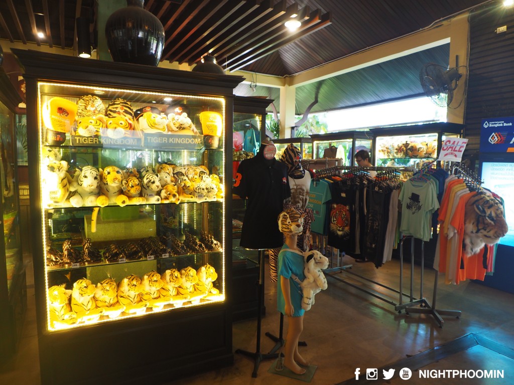 tiger kingdom chiang mai thailand คุ้มเสือ13