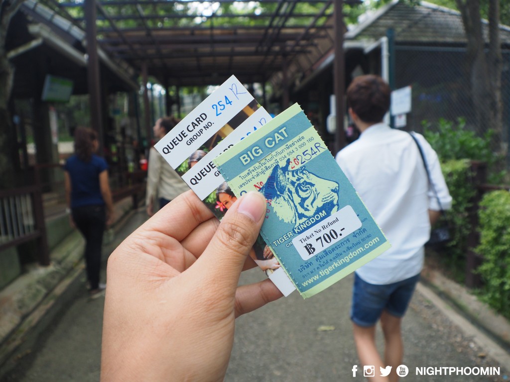 tiger kingdom chiang mai thailand คุ้มเสือ5