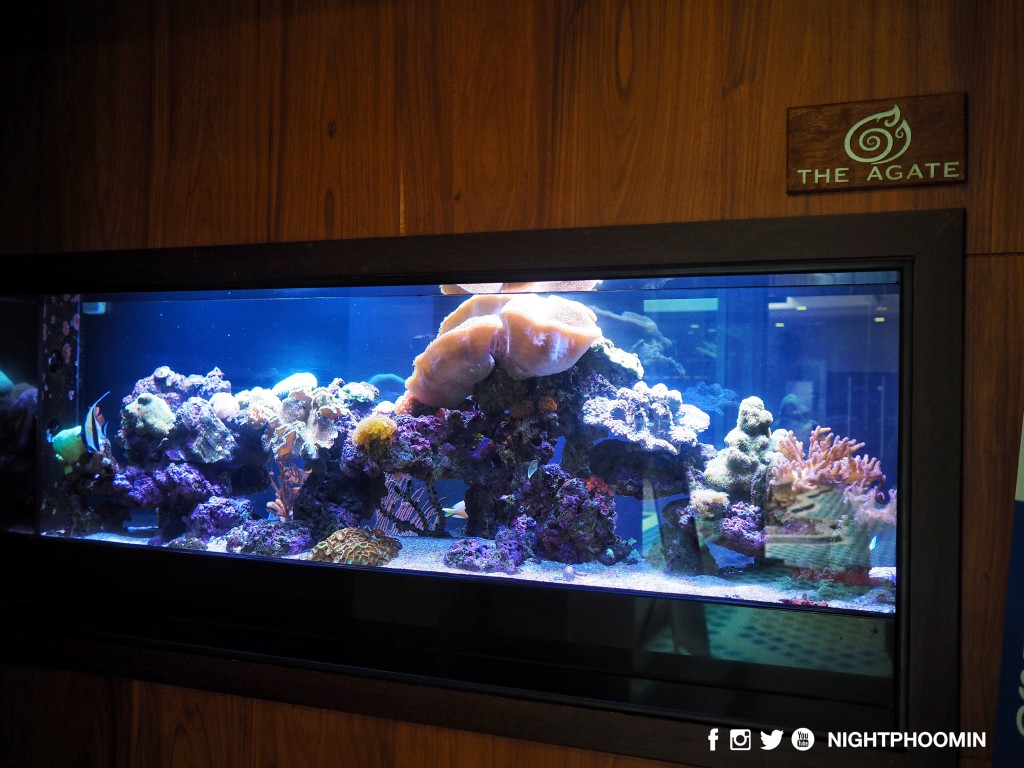 Agate Pattaya รีวิว พัทยา 40