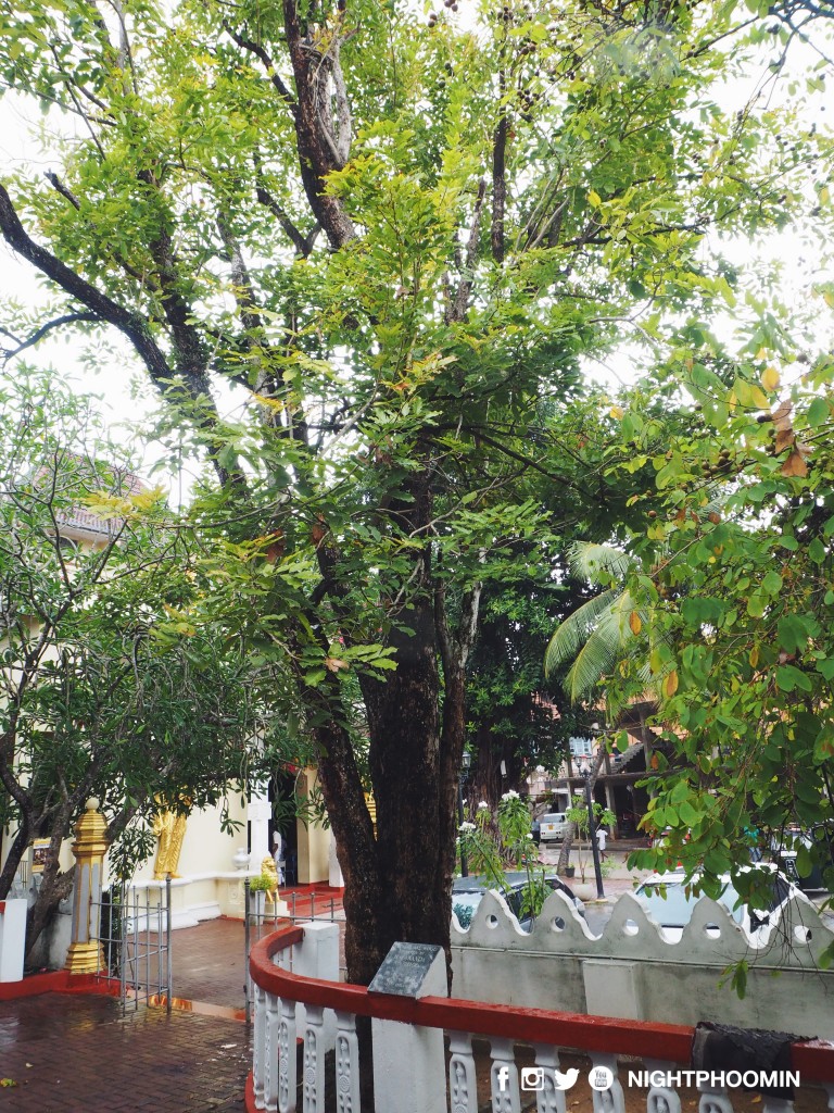 dipaduttamarama-king-of-siam-colombo-13