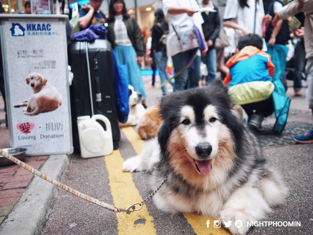 causeway-bay-hong-kong-24